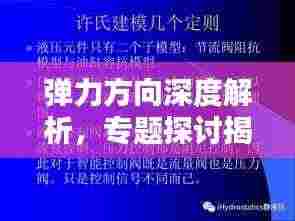 弹力方向深度解析，专题探讨揭秘