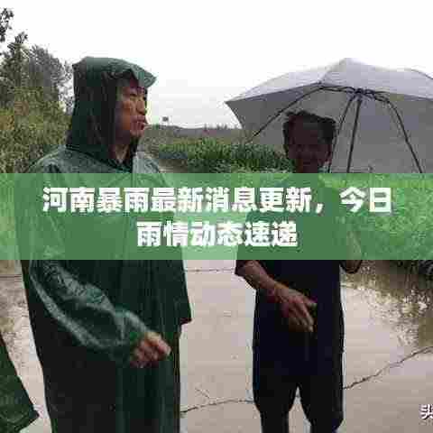 河南暴雨最新消息更新,今日雨情动态速递