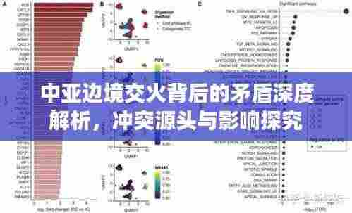 中亚边境交火背后的矛盾深度解析，冲突源头与影响探究