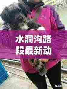 水洞沟路段最新动态揭秘,今日消息一网打尽!