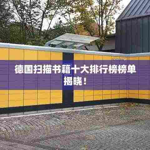 德国扫描书籍十大排行榜榜单揭晓!