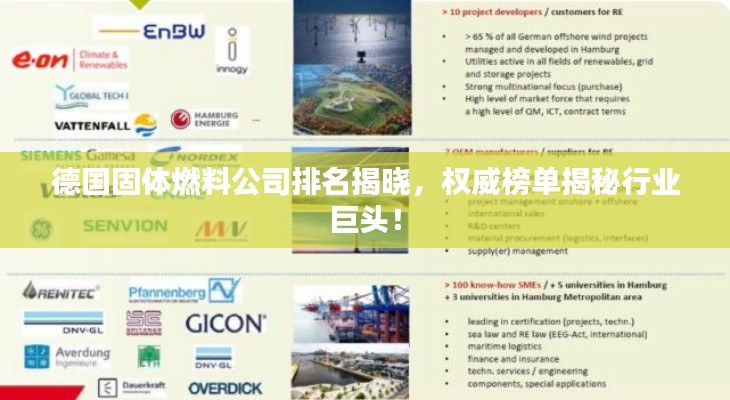 德国固体燃料公司排名揭晓，权威榜单揭秘行业巨头！
