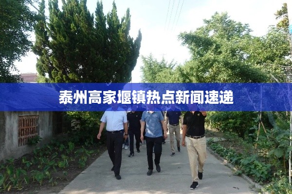 泰州高家堰镇热点新闻速递
