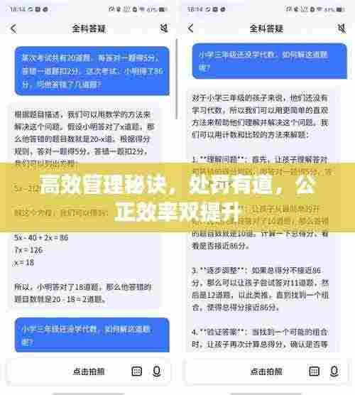 高效管理秘诀,处罚有道,公正效率双提升