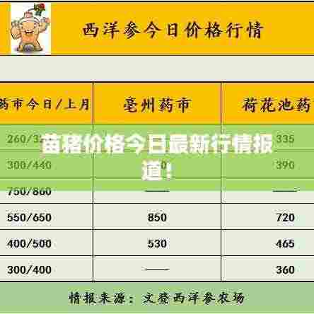 苗猪价格今日最新行情报道!