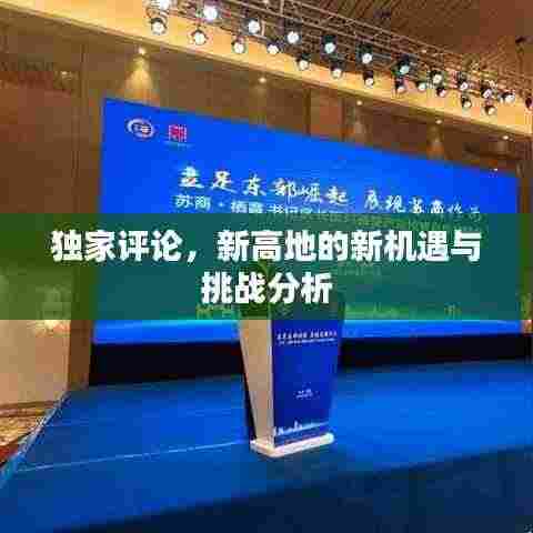 独家评论,新高地的新机遇与挑战分析