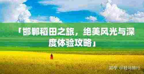 「邯郸稻田之旅,绝美风光与深度体验攻略」