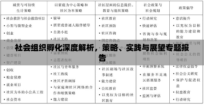 社会组织孵化深度解析,策略、实践与展望专题报告