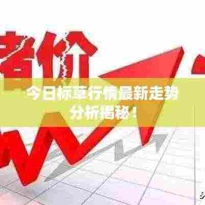 今日标草行情最新走势分析揭秘!
