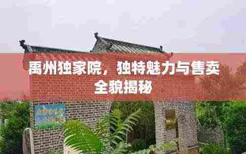 禹州独家院,独特魅力与售卖全貌揭秘