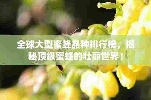 全球大型蜜蜂品种排行榜,揭秘顶级蜜蜂的壮丽世界!