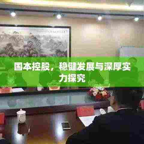 国本控股,稳健发展与深厚实力探究