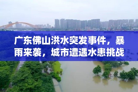 广东佛山洪水突发事件,暴雨来袭,城市遭遇水患挑战