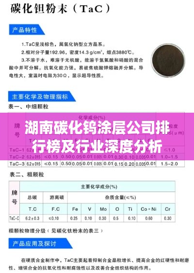 湖南碳化钨涂层公司排行榜及行业深度分析