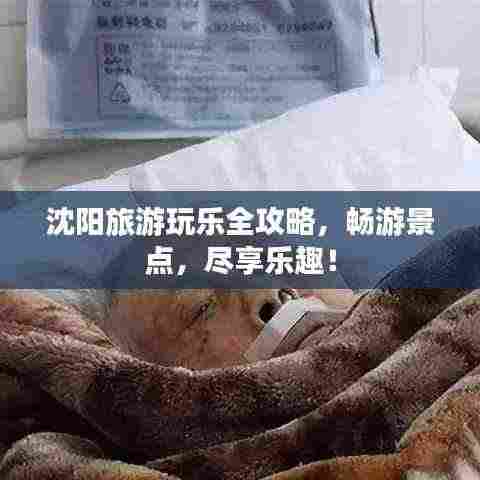 沈阳旅游玩乐全攻略，畅游景点，尽享乐趣！