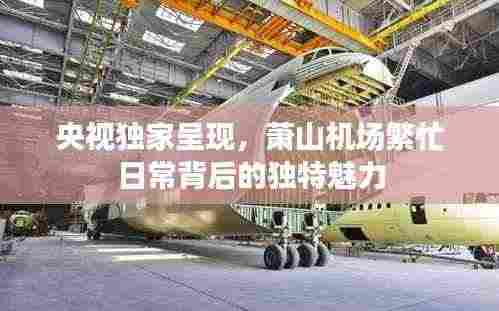 央视独家呈现,萧山机场繁忙日常背后的独特魅力