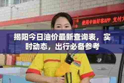 揭阳今日油价最新查询表,实时动态,出行必备参考