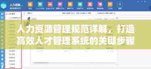 人力资源管理规范详解,打造高效人才管理系统的关键步骤!
