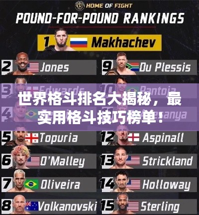 世界格斗排名大揭秘,最实用格斗技巧榜单!