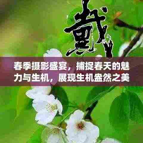 春季摄影盛宴,捕捉春天的魅力与生机,展现生机盎然之美!