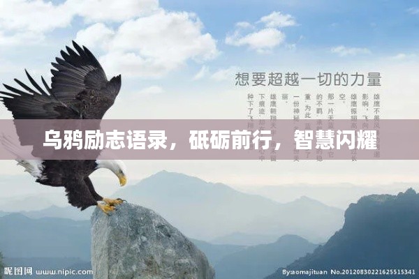 乌鸦励志语录，砥砺前行，智慧闪耀