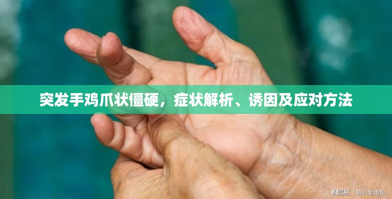 突发手鸡爪状僵硬，症状解析、诱因及应对方法