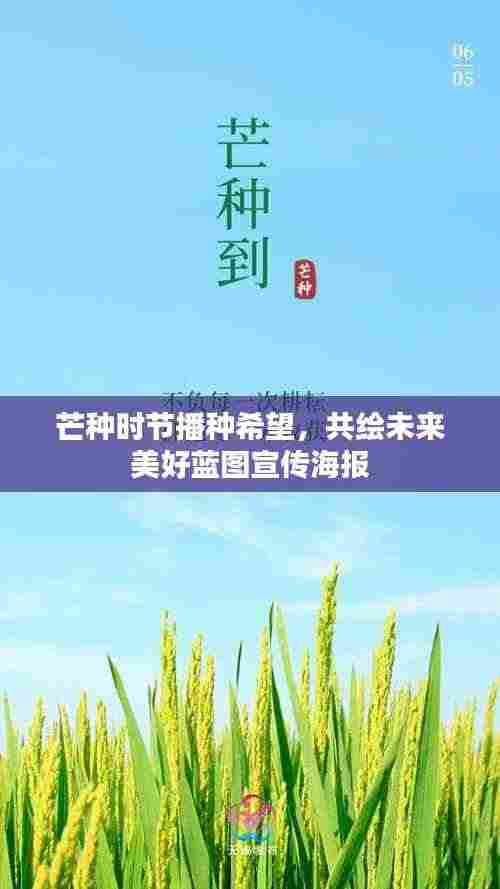芒种时节播种希望,共绘未来美好蓝图宣传海报