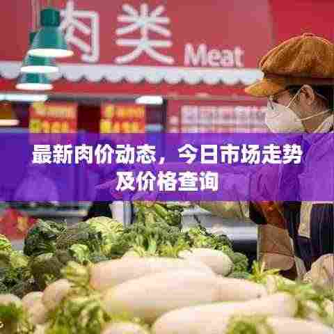 最新肉价动态，今日市场走势及价格查询