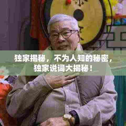独家揭秘,不为人知的秘密,独家说词大揭秘!