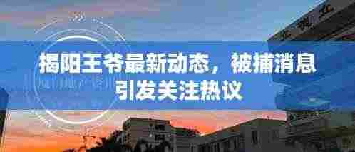 揭阳王爷最新动态,被捕消息引发关注热议
