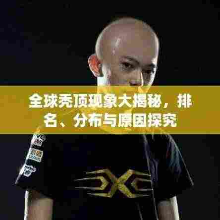 全球秃顶现象大揭秘，排名、分布与原因探究