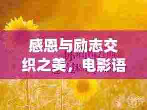 感恩与励志交织之美，电影语录启迪心灵