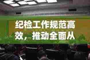 纪检工作规范高效，推动全面从严治党纵深发展，打造清廉新时代