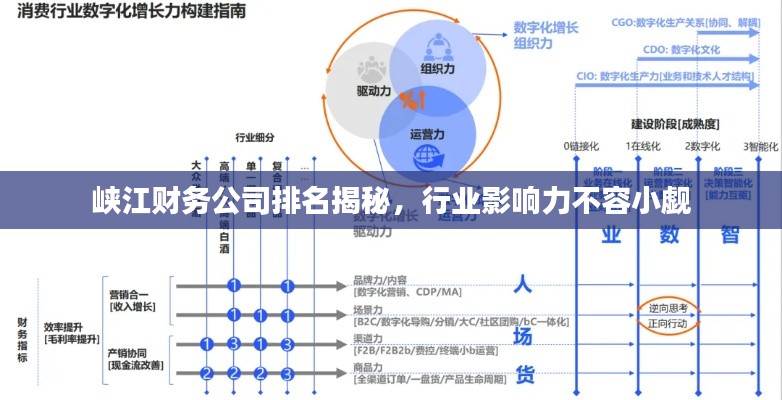 峡江财务公司排名揭秘，行业影响力不容小觑