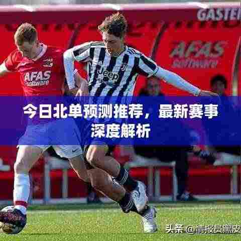 今日北单预测推荐,最新赛事深度解析