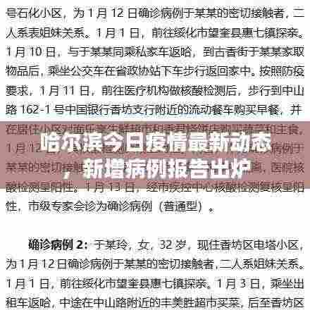 哈尔滨今日疫情最新动态，新增病例报告出炉