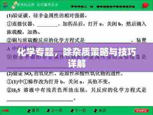 化学专题，除杂质策略与技巧详解
