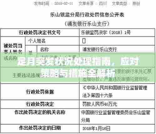 足月突发状况处理指南,应对策略与措施全解析