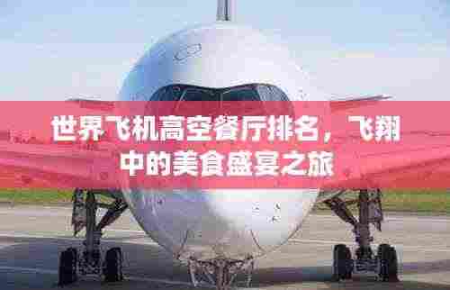 世界飞机高空餐厅排名,飞翔中的美食盛宴之旅