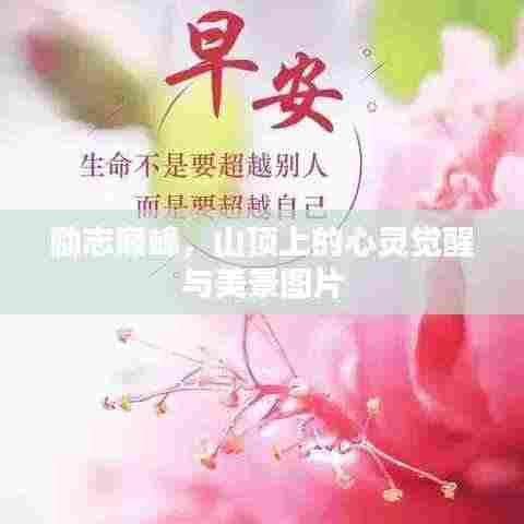 励志巅峰，山顶上的心灵觉醒与美景图片