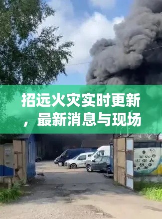 招远火灾实时更新，最新消息与现场情况