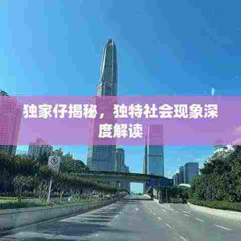 独家仔揭秘，独特社会现象深度解读