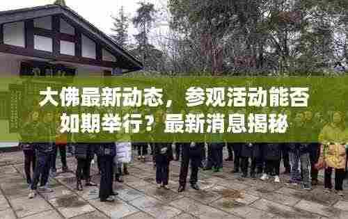 大佛最新动态,参观活动能否如期举行?最新消息揭秘