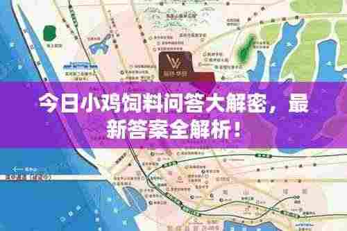 今日小鸡饲料问答大解密，最新答案全解析！