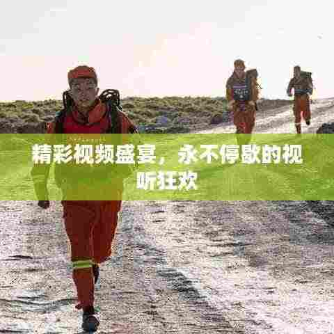 精彩视频盛宴，永不停歇的视听狂欢